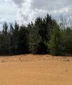 3552 Fm 3136 Lot 11 - Photo 3