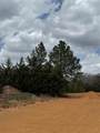 3552 Fm 3136 Lot 13 - Photo 2