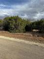 32039 Dove Trail - Photo 2