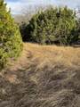 32039 Dove Trail - Photo 4