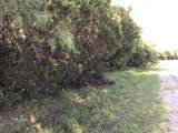12117 Oak Dale Drive - Photo 3