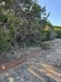 12117 Oak Dale Drive - Photo 8