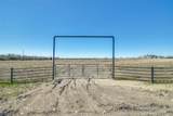 1350 Klutts Drive - Photo 4