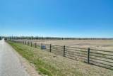 1350 Klutts Drive - Photo 8
