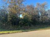 3809 Hedge Row Street - Photo 3