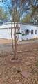 309 County Road 464 - Photo 4