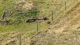 TBD Co 379 Road - Photo 18