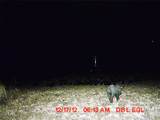 5448 County Road 182 - Photo 28