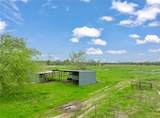 parcel  401073 Cr 23900 - Photo 4