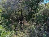 Lot 26 Ava Grace Lane - Photo 21