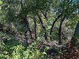 Lot 26 Ava Grace Lane - Photo 22