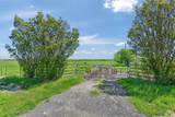 TBD Custer Road - Photo 31