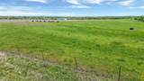 TBD Custer Road - Photo 7