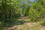 3911 County Road 235 - Photo 23