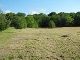 TBD Fm 545 (Melissa Road) - Photo 6