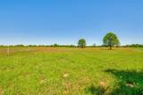 Lot 44 Paradise Cov - Photo 13