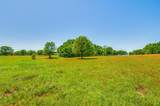 Lot 44 Paradise Cov - Photo 2