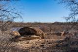 TBD Fm-2836 - Photo 24