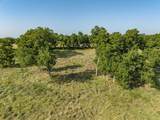 TBD County Road 615 - Photo 10