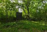 1180 County Road 2099 - Photo 38