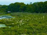 1180 County Road 2099 - Photo 5