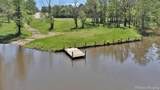 7780 Lakeshore - Photo 11