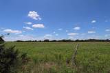 1485 County Road 224 - Photo 36