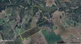 1485 County Road 224 - Photo 39