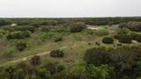 Lot 23 Shin Oak Drive - Photo 12