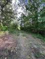 00 Grand Cane Fire Tower Road - Photo 2