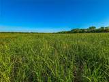 N/A Fm 2114 Road - Photo 27