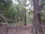 TBD County Road 4700 - Photo 21