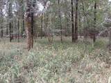 TBD County Road 4700 - Photo 25