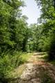 TBD County Road 47 - Photo 4