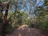 10.13 Acres Fm 852 - Photo 17