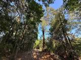 10.13 Acres Fm 852 - Photo 19