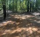 10.13 Acres Fm 852 - Photo 20