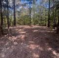 10.13 Acres Fm 852 - Photo 22