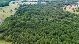 10.13 Acres Fm 852 - Photo 8