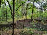 TBD County Road 127 - Photo 3