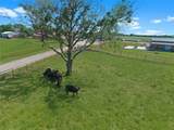 5052 Fm 148 - Photo 12