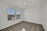11405 Patera Street - Photo 11