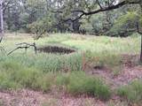 TBD Rs County Road 3360 - Photo 7