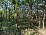 1586 Fm 2324 - Photo 20