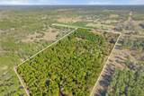 22924 County Road 223 - Photo 38