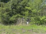 Tract 6 Farm To Market 1743 - Photo 1