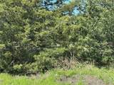 Tract 6 Farm To Market 1743 - Photo 2