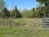 Tract 6 Farm To Market 1743 - Photo 5