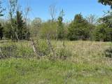 Tract 6 Farm To Market 1743 - Photo 6