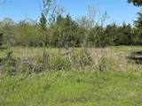 Tract 6 Farm To Market 1743 - Photo 7